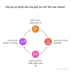 No Star Where là gì