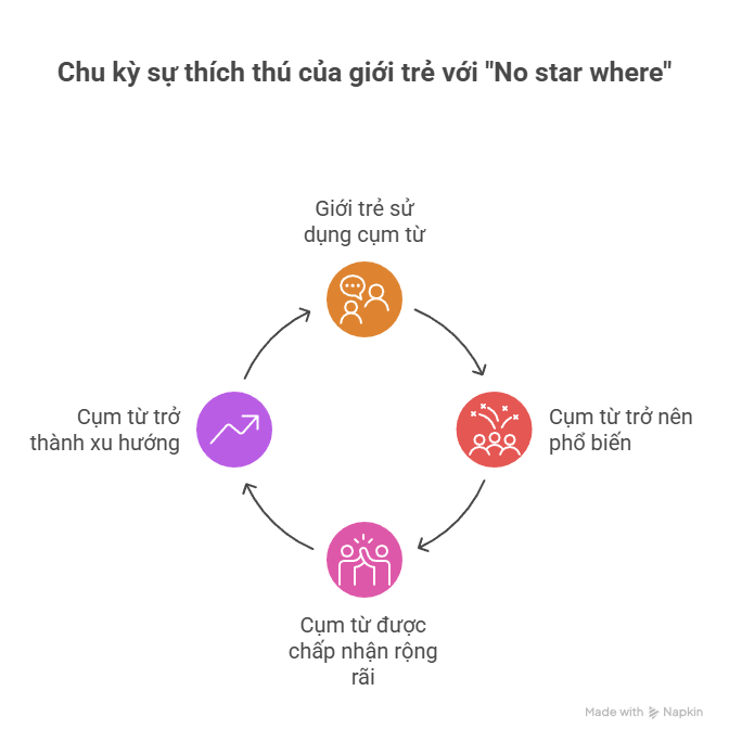 No Star Where là gì